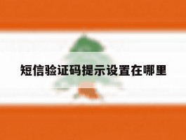 短信验证码提示设置在哪里