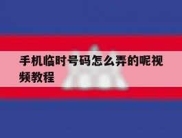 手机临时号码怎么弄的呢视频教程