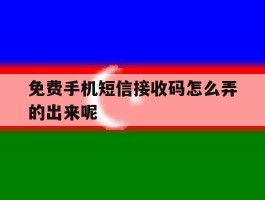 免费手机短信接收码怎么弄的出来呢