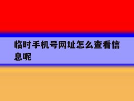 临时手机号网址怎么查看信息呢