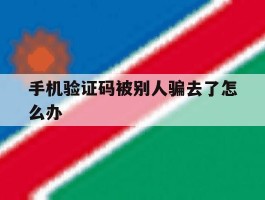 手机验证码被别人骗去了怎么办