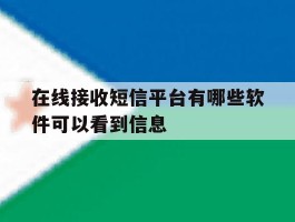 在线接收短信平台有哪些软件可以看到信息