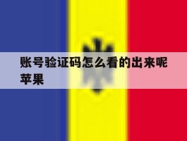 账号验证码怎么看的出来呢苹果