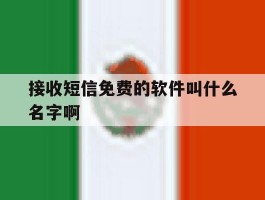 接收短信免费的软件叫什么名字啊