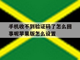 包含手机收不到验证码了怎么回事呢苹果版怎么设置的词条