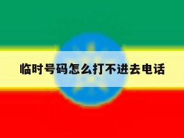 临时号码怎么打不进去电话