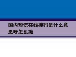 国内短信在线接码是什么意思呀怎么接