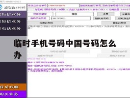 临时手机号码中国号码怎么办