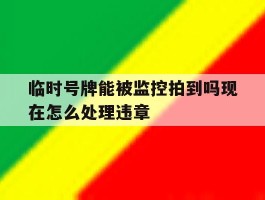 临时号牌能被监控拍到吗现在怎么处理违章的简单介绍