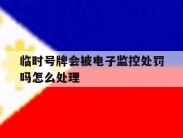 临时号牌会被电子监控处罚吗怎么处理