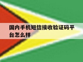 国内手机短信接收验证码平台怎么样