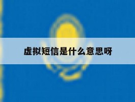 虚拟短信是什么意思呀