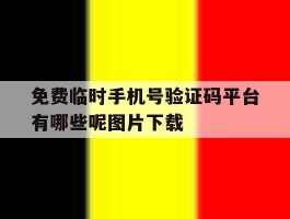 免费临时手机号验证码平台有哪些呢图片下载的简单介绍