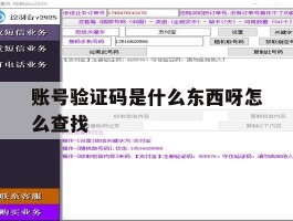 账号验证码是什么东西呀怎么查找