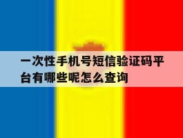 一次性手机号短信验证码平台有哪些呢怎么查询的简单介绍