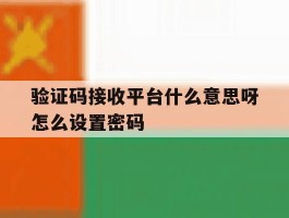 验证码接收平台什么意思呀怎么设置密码