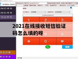 2021在线接收短信验证码怎么填的呀