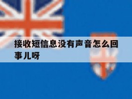 接收短信息没有声音怎么回事儿呀