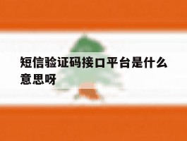 短信验证码接口平台是什么意思呀
