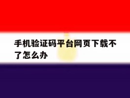 手机验证码平台网页下载不了怎么办