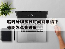临时号牌多长时间能申请下来啊怎么查进度